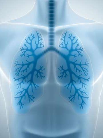 肺部扫描图