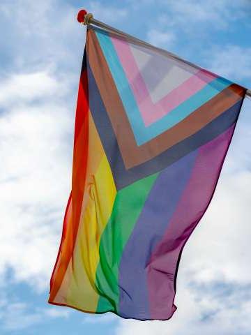 跨性别者、LGBTQ+和多样性之旗